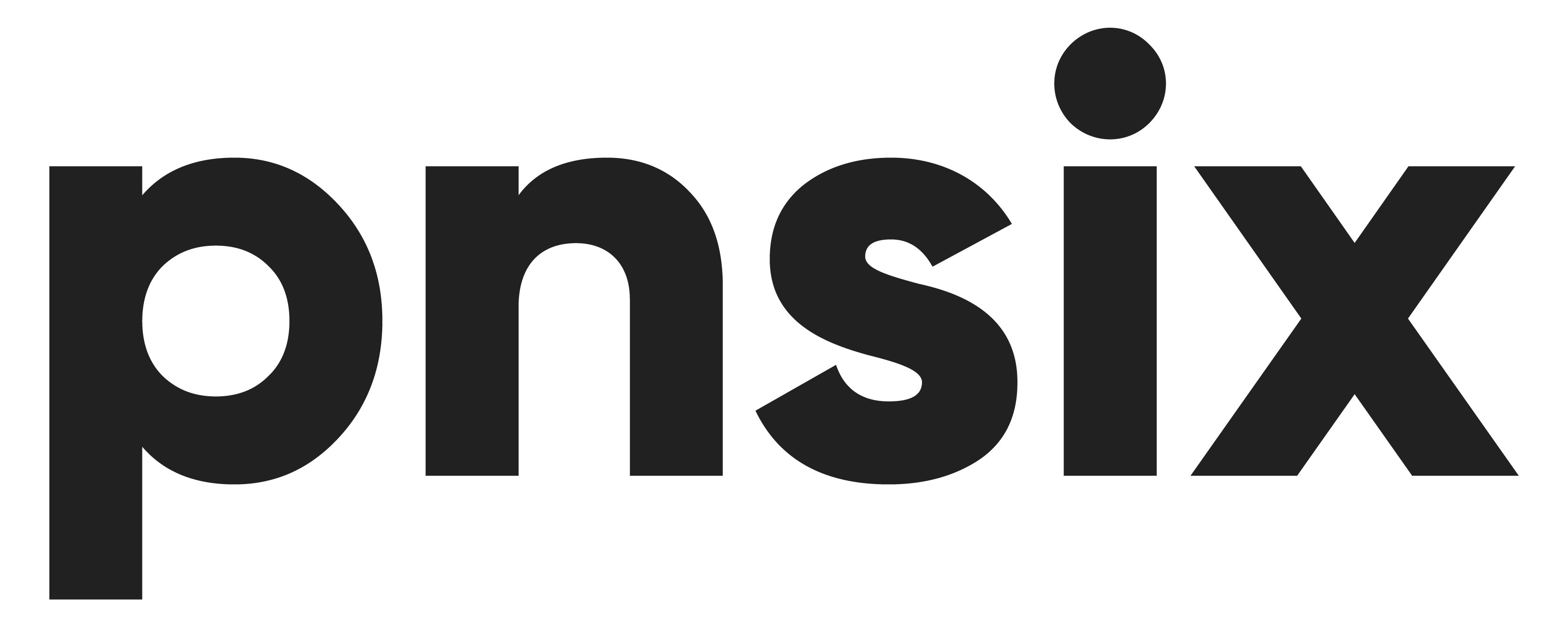 Logo Pnsix