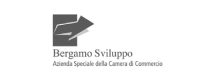 DES - Bergamo Sviluppo